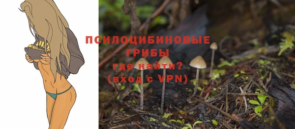 не бодяженный Киселёвск
