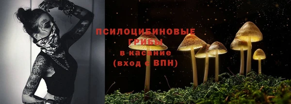 стафф Вяземский
