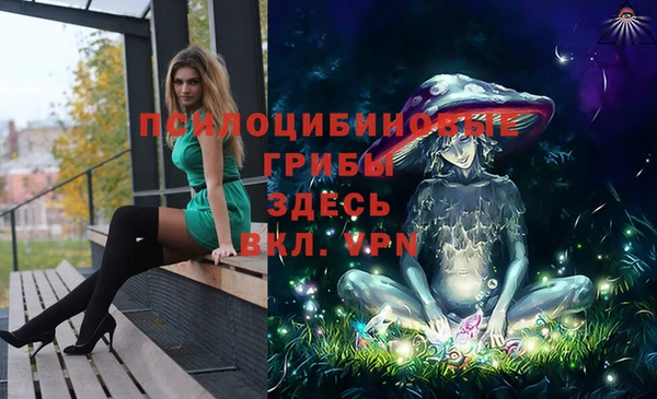 стафф Кирс