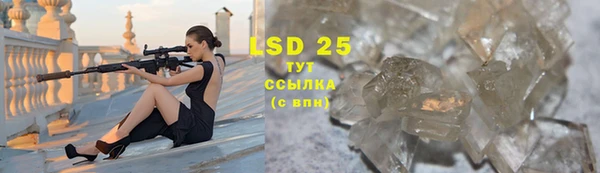 spice Вязники