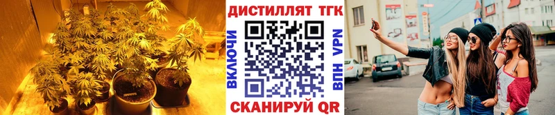 кракен вход  наркота  сайты даркнета какой сайт  Дистиллят ТГК THC oil  Лихославль 
